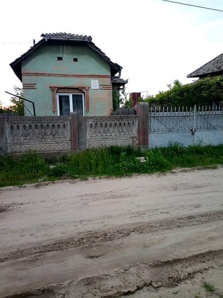 Maglavit,