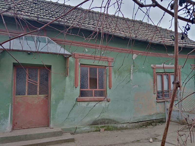 Maglavit,